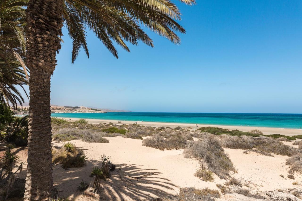 Home2Book Hola Rolls Corralejo Center Εξωτερικό φωτογραφία